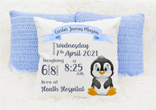 Load image into Gallery viewer, Personalised New Baby Cushion